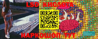 винт Заволжье