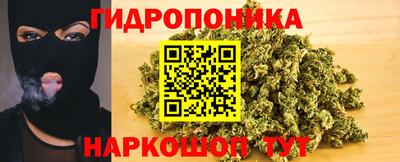прущие грибы Заводоуковск