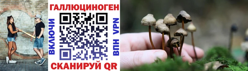 Псилоцибиновые грибы Psilocybine cubensis  Красноуфимск 