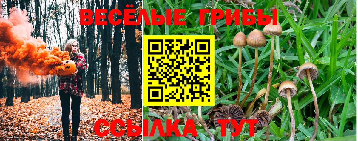 Псилоцибиновые грибы прущие грибы  Вход с VPN  Красноуфимск  Псилоцибиновые грибы Cubensis 